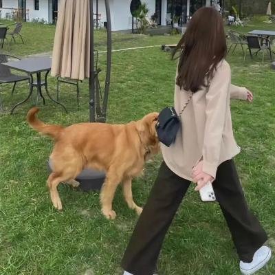 河内希尔顿